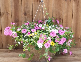 Mega Baskets