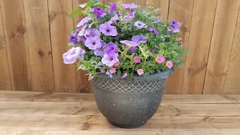 16 inch planters